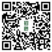 绿城