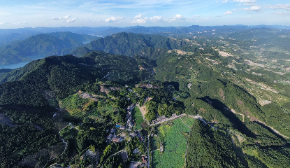 绿城